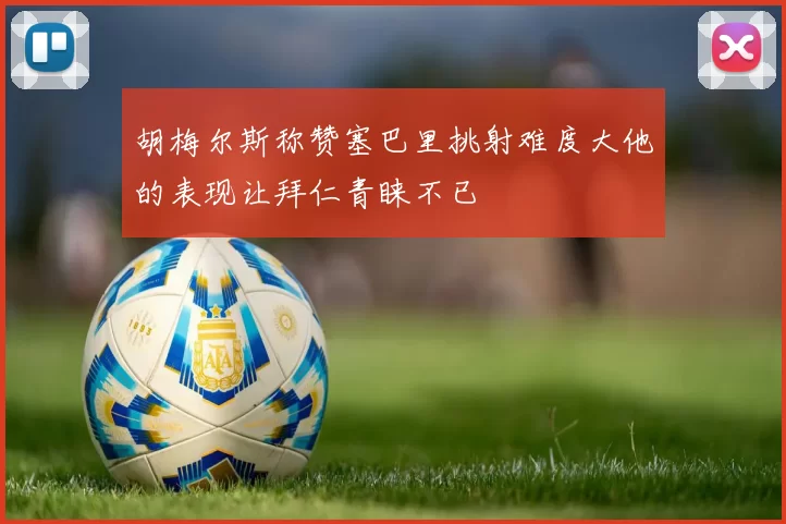 胡梅尔斯称赞塞巴里挑射难度大他的表现让拜仁青睐不已
